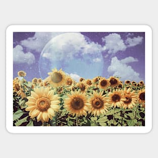 Sunflower Sticker